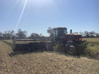 2016 MacDon M155 Windrower with 40ft Front and Spray Cart