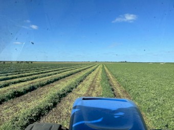 2023 Vetch/Pea Hay 