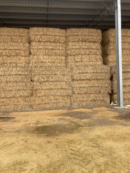 150T  Oaten Hay 8x4x3 Bales