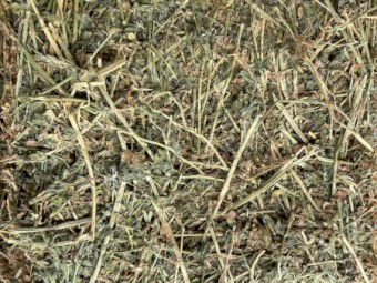Lucerne Hay 1st cut small bales