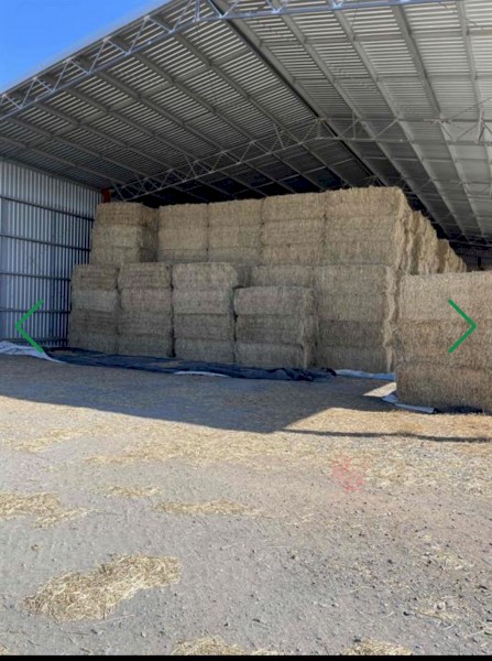 Oaten Ryegrass Hay
