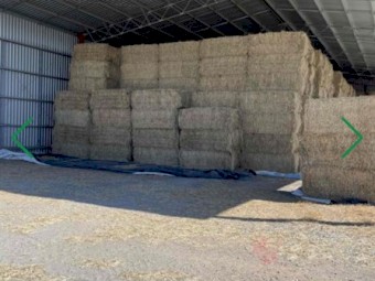 Oaten Ryegrass Hay