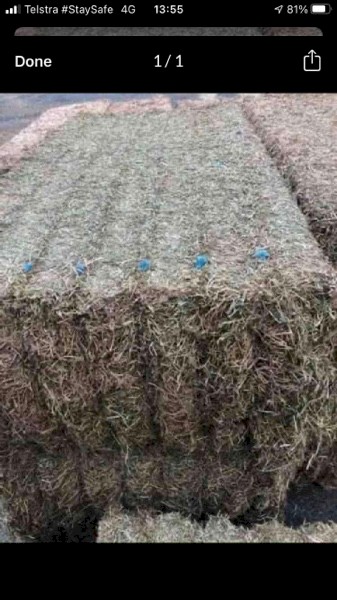 New Season Shedded Vetch Hay 8x4x3 500-550kg Bales + Freight