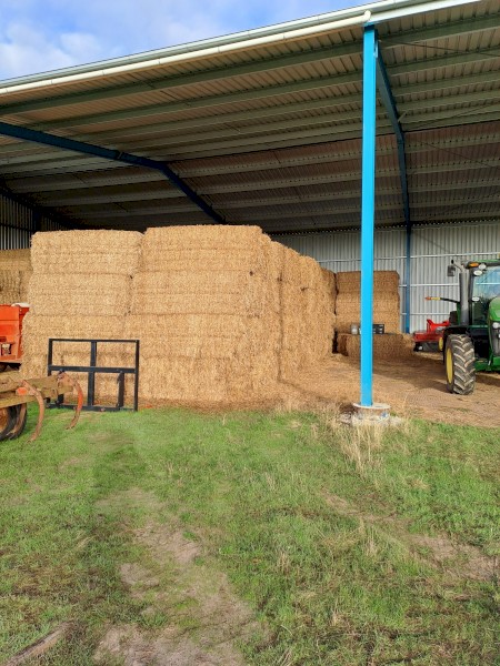 New season Clover hay