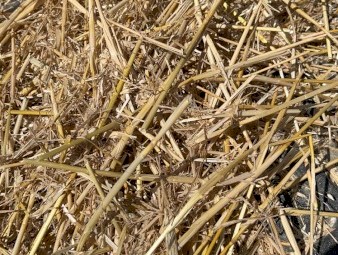 200mt Wheaten Straw 500kg+ 8x4x3 Bales
