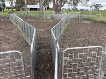 Sheep Yards