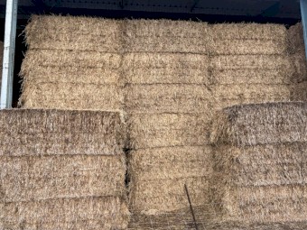 Wheaten Hay 8x4x3 Bales