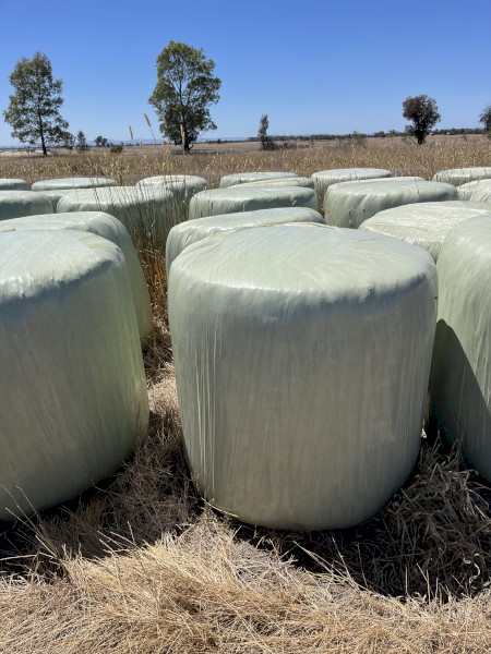 60 x Clover Silage 5x4 Rolls