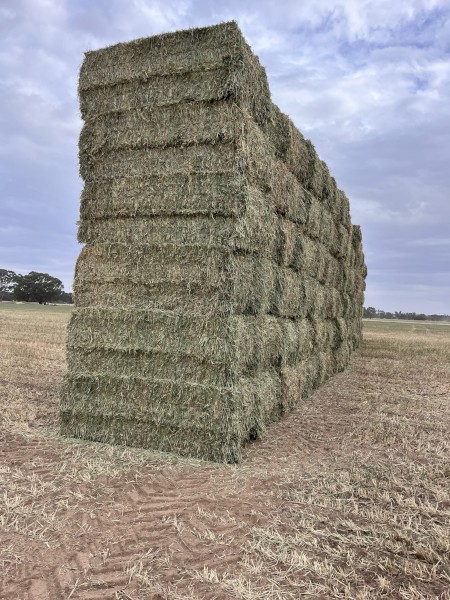 60mt Wheaten Hay 730kg 8x4x3 Bales