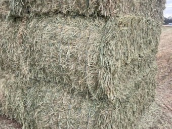 60mt Wheaten Hay 730kg 8x4x3 Bales
