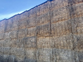 100mt Vetch Hay 8x4x3 Bales