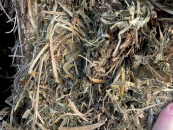 2020 Vetch hay 