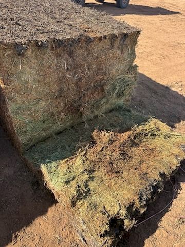 130mt Vetch Hay Top and Second Bales
