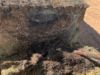 130mt Vetch Hay Top and Second Bales