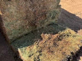 130mt Vetch Hay Top and Second Bales