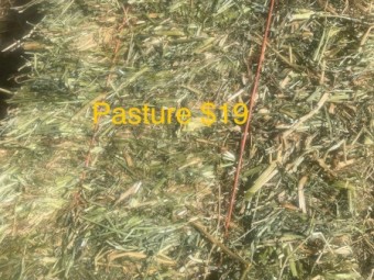 2000 x Lucerne and 1000 Pasture  Small Square Bales