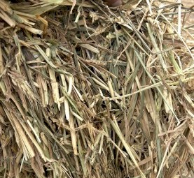 300mt Wheaten Hay 8x4x3 bales