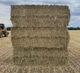 300mt Wheaten Hay 8x4x3 bales