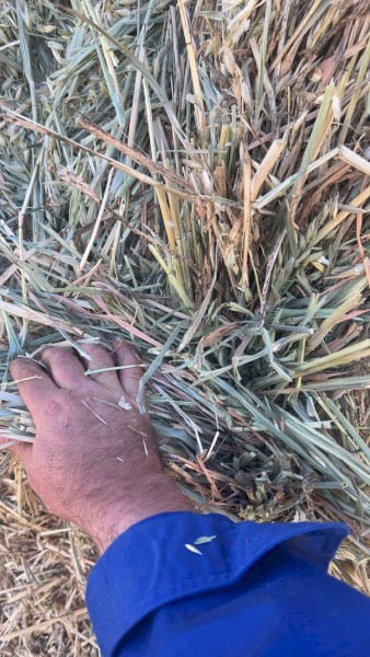 Oaten Hay 680-720kg 8x4x3 Bales