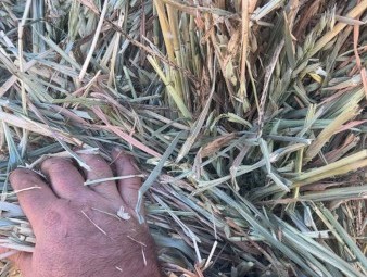 Oaten Hay 680-720kg 8x4x3 Bales