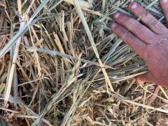 Oaten Hay 680-720kg 8x4x3 Bales