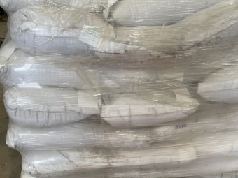 Lucerne  Seed