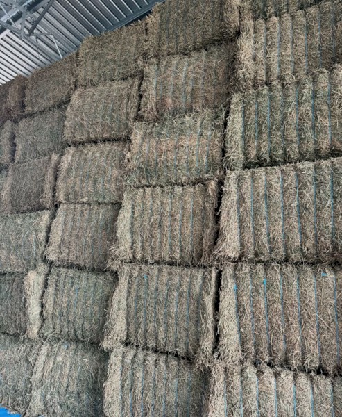 45mt Lucerne Hay 700kg 8x4x3 Bales