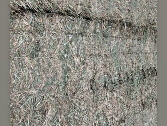 45mt Lucerne Hay 700kg 8x4x3 Bales