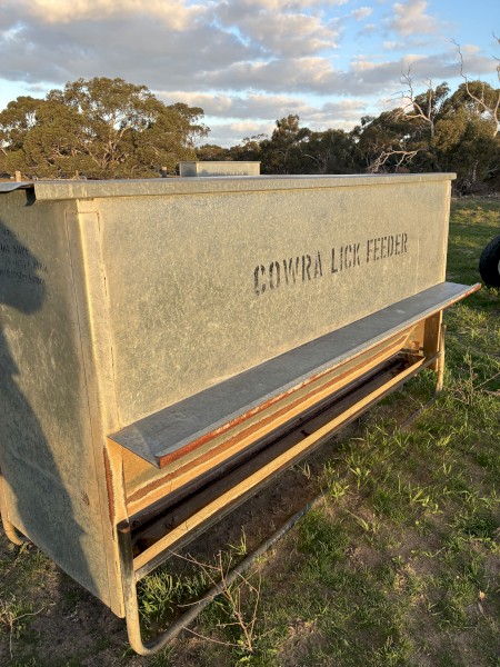 Cowra lick feeders with extended tray sides