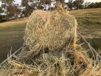 Pasture Hay Round Bales
