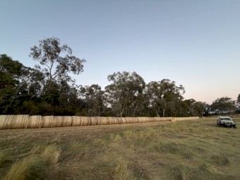 Pasture Hay Round Bales