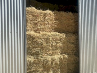Teff hay, Low sugar