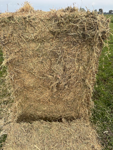 5th Cut Lucerne Hay