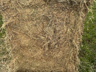 5th Cut Lucerne Hay