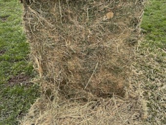 5th Cut Lucerne Hay