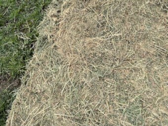 5th Cut Lucerne Hay