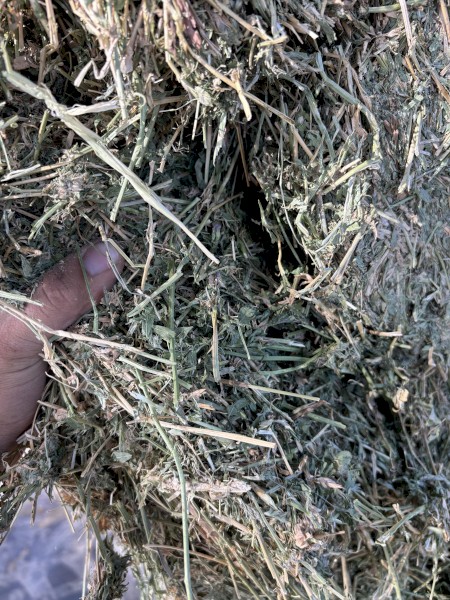 80mt Lucerne Hay 8x4x3 Bales