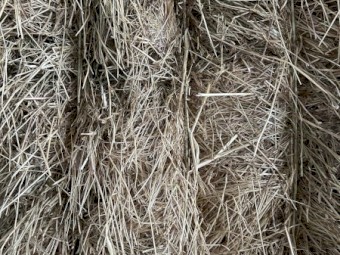 232mt Ryegrass and Vetch Hay 8x4x3 Bales