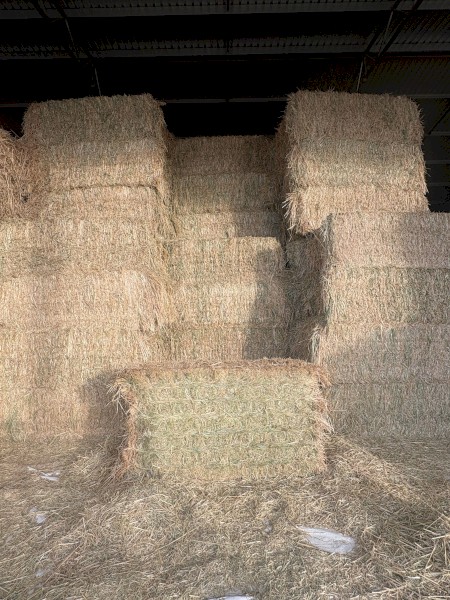 40mt Oaten Hay 675kg 8x4x3 Bales