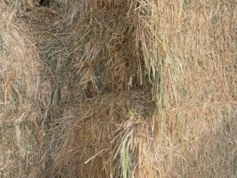 40mt Oaten Hay 675kg 8x4x3 Bales