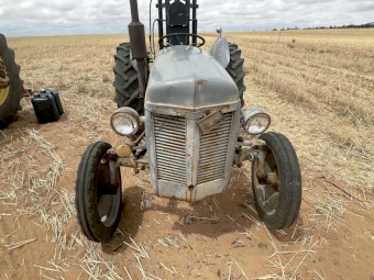 grey fergy