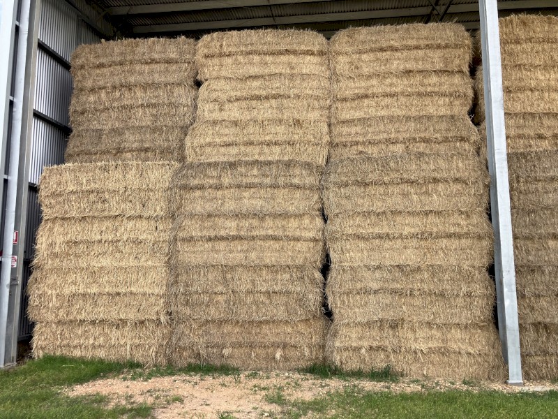 100mt Ryegrass Hay 8x4x3 Bales