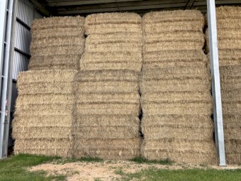 100mt Ryegrass Hay 8x4x3 Bales