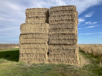 100mt Ryegrass Hay 8x4x3 Bales