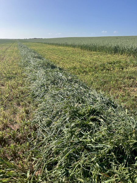 280mt x Oaten Hay 680-800kg 8x4x3 Bales