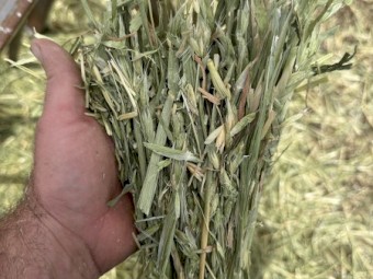280mt x Oaten Hay 680-800kg 8x4x3 Bales