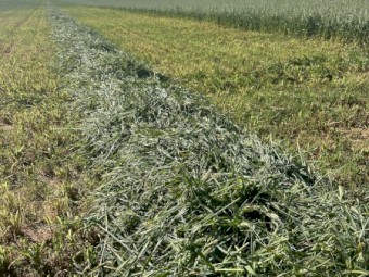280mt x Oaten Hay 680-800kg 8x4x3 Bales