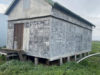 Old Grain Shed