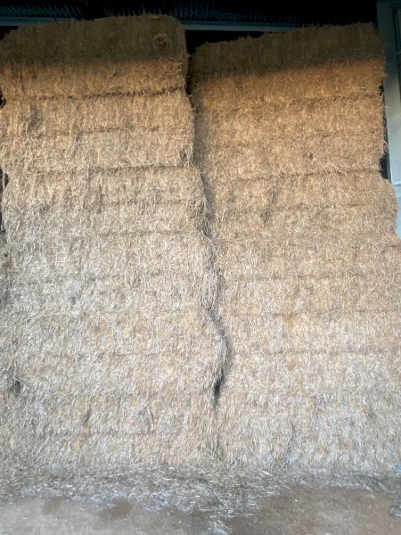 82 x Lucerne Hay 550kg 8x4x3