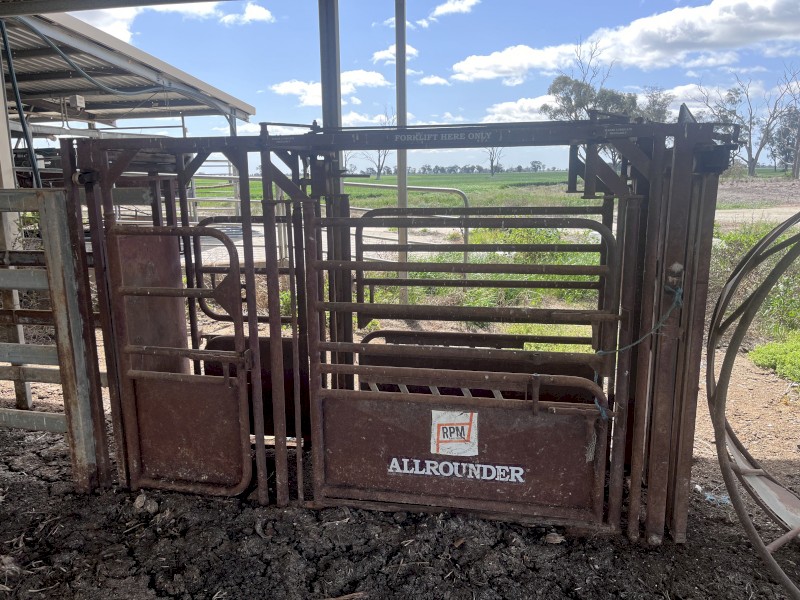 Cattle Crush